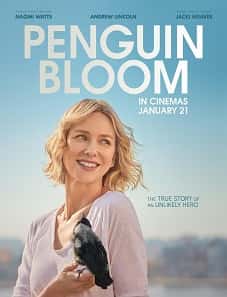Penguin Bloom (2020) Penguin Bloom (2020)