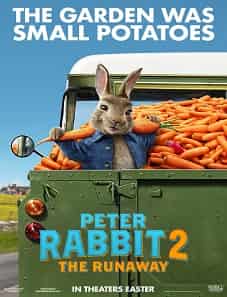 Peter Rabbit 2: The Runaway (2021) Peter Rabbit 2: The Runaway (2021)