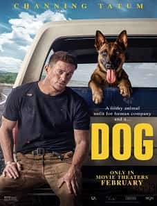 Dog (2022) Dog (2022)
