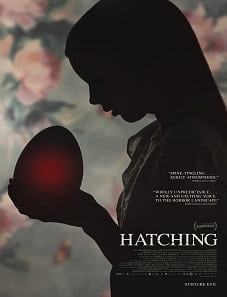 Hatching (2022) Hatching (2022)