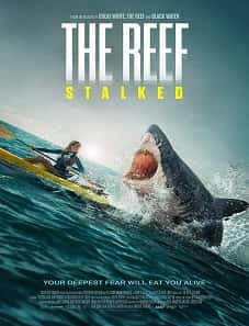 The Reef: Stalked (2022) The Reef: Stalked (2022)